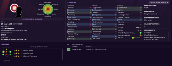 FM 2021 Player Profile - Emil Ceide • Football Manager Story