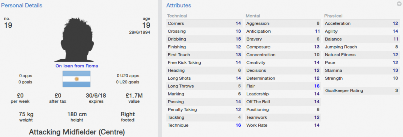 FM 2014 paredes initial profile2