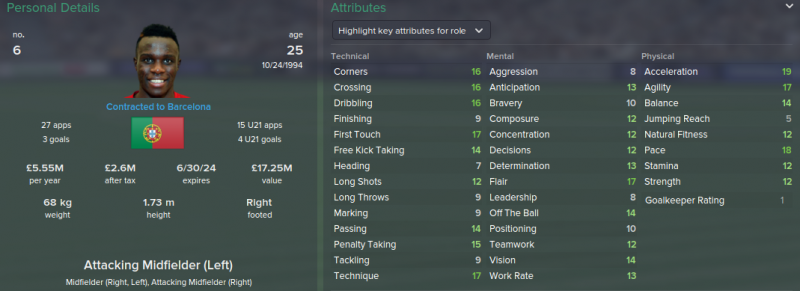 bruma fm 2015 future profile