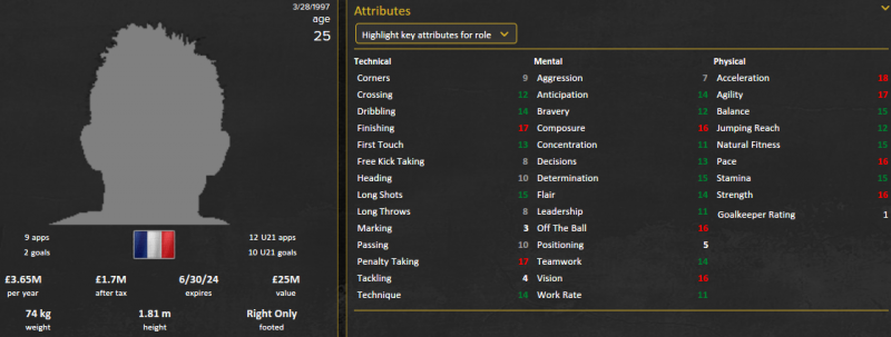 thierry ambrose fm 2015 future profile