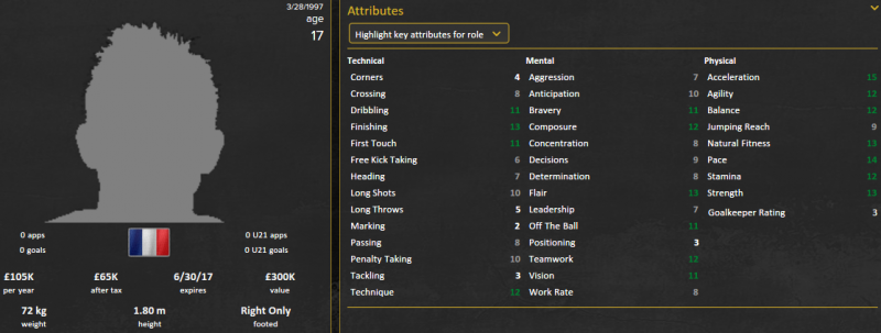 thierry ambrose fm 2015 initial profile patch 15.3