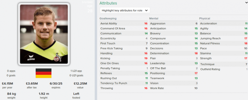 timo horn fm 2015 future profile