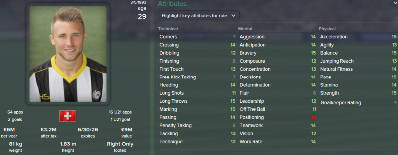 silvan widmer fm 2015 future profile